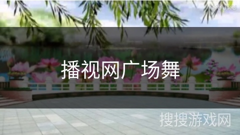 播视网广场舞