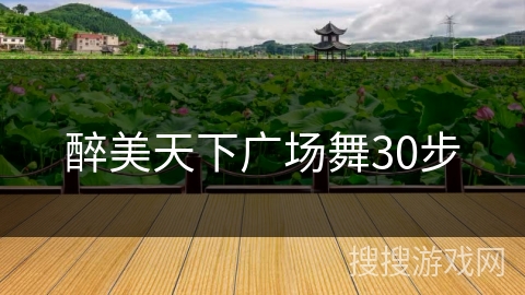 醉美天下广场舞30步