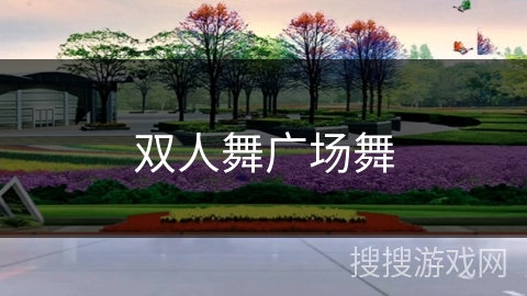 双人舞广场舞