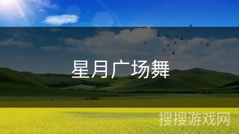 星月广场舞