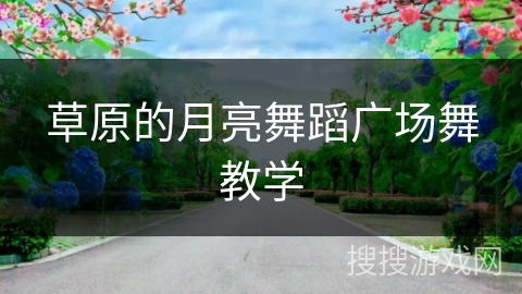 草原的月亮舞蹈广场舞教学