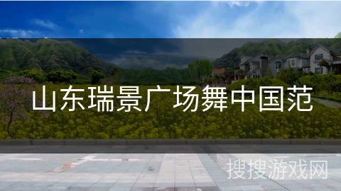 山东瑞景广场舞中国范
