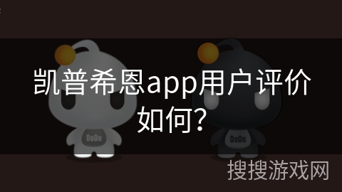 凯普希恩app用户评价如何？