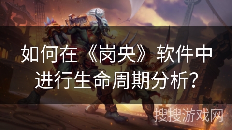 如何在《岗央》软件中进行生命周期分析？