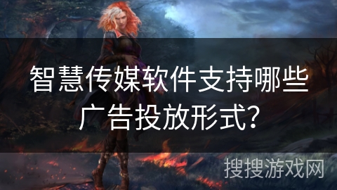 智慧传媒软件支持哪些广告投放形式？