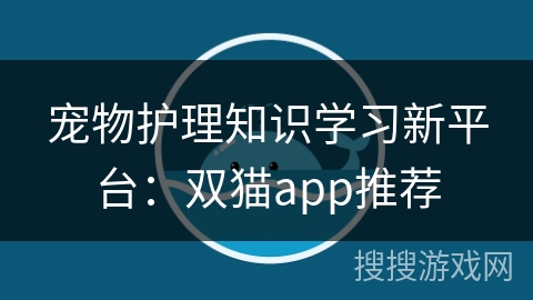 宠物护理知识学习新平台：双猫app推荐