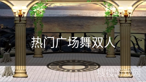 热门广场舞双人 热门广场舞双人