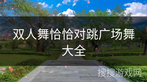 双人舞恰恰对跳广场舞大全