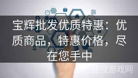 宝辉批发优质特惠:优质商品,特惠价格,尽在您手中 宝辉批发优质特惠:优质商品,特惠价格,尽在您手中