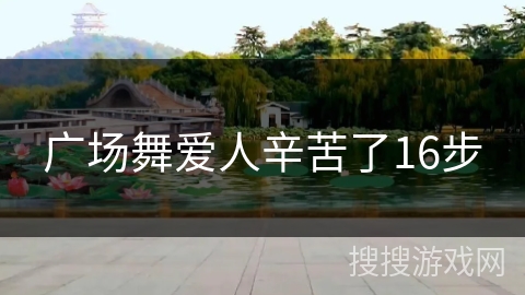 广场舞爱人辛苦了16步
