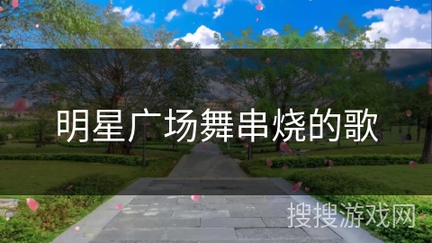 明星广场舞串烧的歌