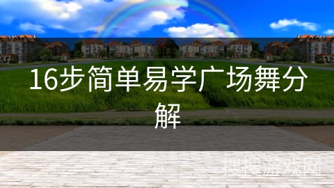 16步简单易学广场舞分解