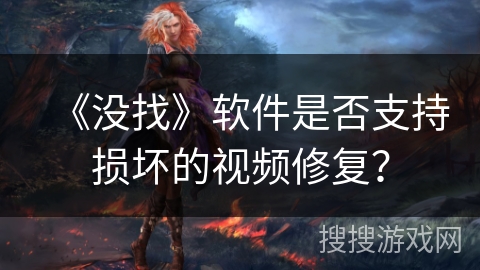 《没找》软件是否支持损坏的视频修复？