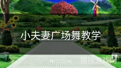 小夫妻广场舞教学