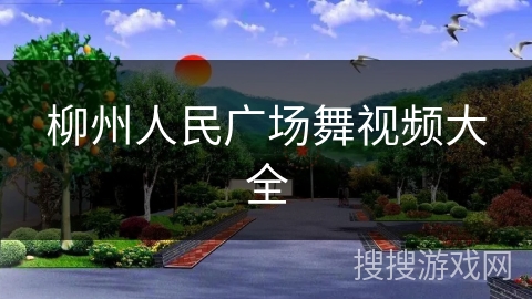 柳州人民广场舞视频大全