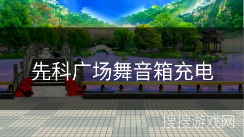 先科广场舞音箱充电