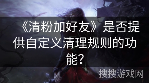 《清粉加好友》是否提供自定义清理规则的功能？