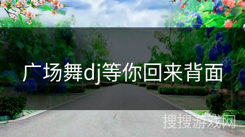 广场舞dj等你回来背面