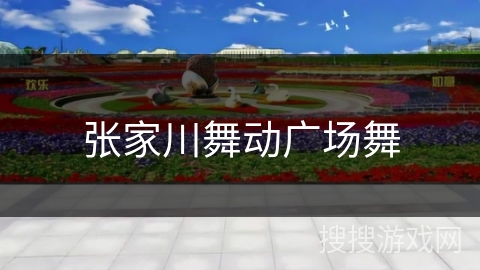 张家川舞动广场舞 张家川舞动广场舞