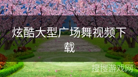 炫酷大型广场舞视频下载