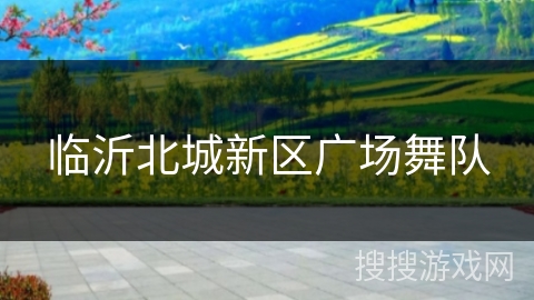 临沂北城新区广场舞队