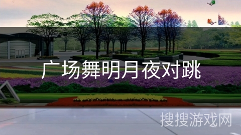 广场舞明月夜对跳