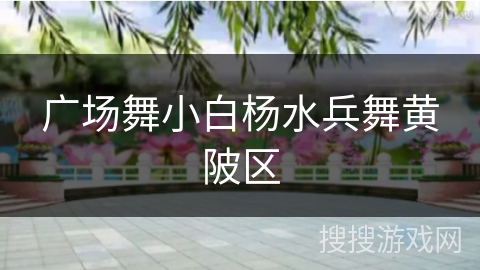 广场舞小白杨水兵舞黄陂区