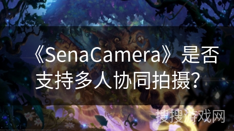 《SenaCamera》是否支持多人协同拍摄? 《SenaCamera》是否支持多人协同拍摄?
