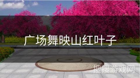 广场舞映山红叶子