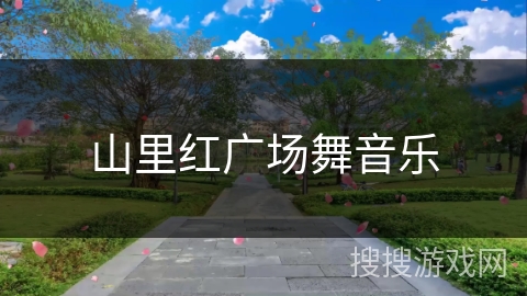 山里红广场舞音乐