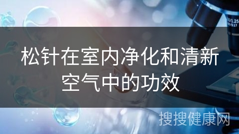 松针在室内净化和清新空气中的功效