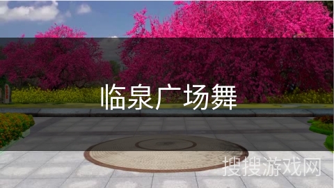临泉广场舞 临泉广场舞