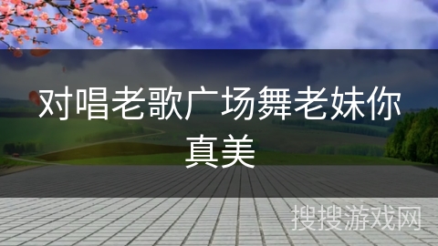 对唱老歌广场舞老妹你真美