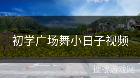 初学广场舞小日子视频