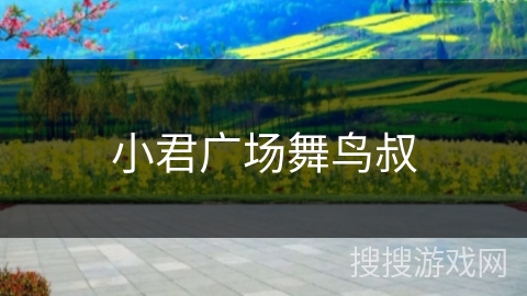 小君广场舞鸟叔 小君广场舞鸟叔