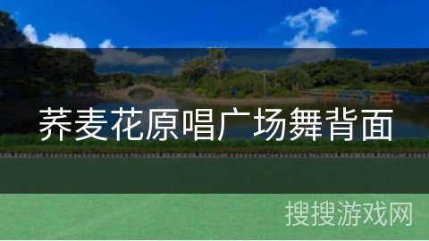 荞麦花原唱广场舞背面