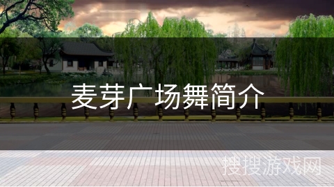 麦芽广场舞简介