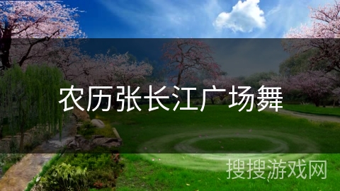 农历张长江广场舞