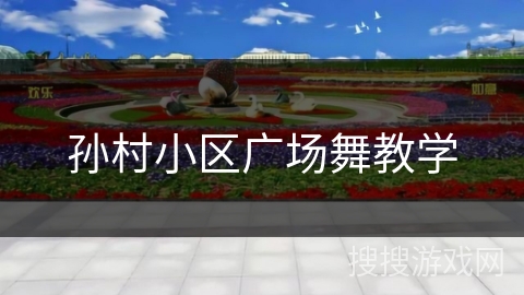 孙村小区广场舞教学