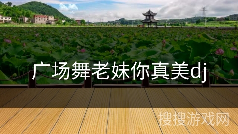 广场舞老妹你真美dj