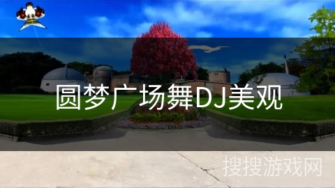 圆梦广场舞DJ美观
