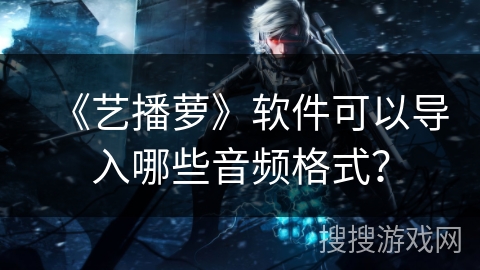 《艺播萝》软件可以导入哪些音频格式？