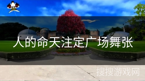 人的命天注定广场舞张