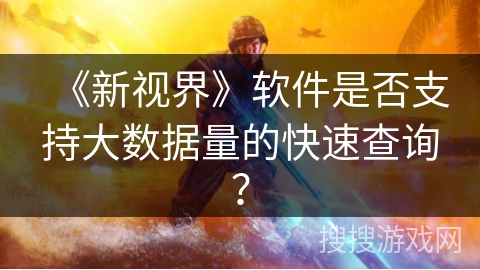 《新视界》软件是否支持大数据量的快速查询？