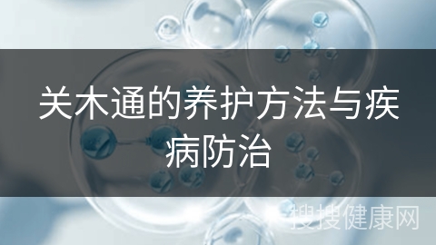 关木通的养护方法与疾病防治