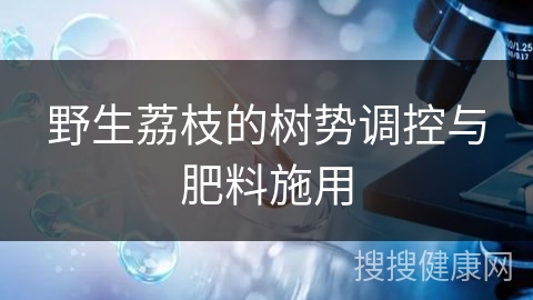 野生荔枝的树势调控与肥料施用