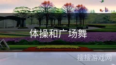 体操和广场舞 体操和广场舞