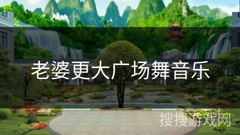 老婆更大广场舞音乐