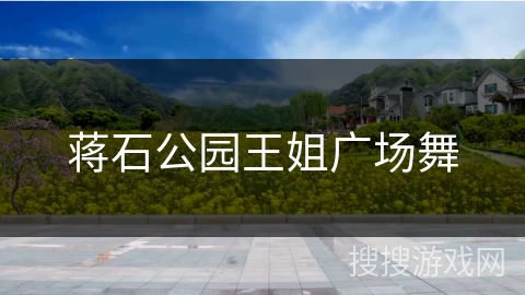 蒋石公园王姐广场舞 蒋石公园王姐广场舞