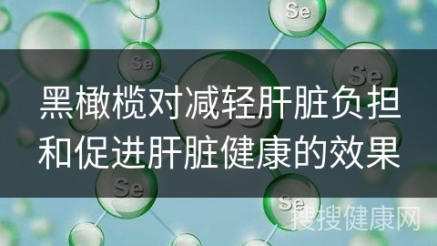 黑橄榄对减轻肝脏负担和促进肝脏健康的效果